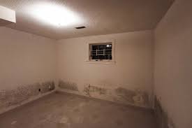 Check spelling or type a new query. You Can Live In This Creepy Markham Basement For 800