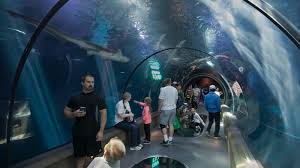 10 Best Aquariums For Kids In The United States Mommy Nearest
