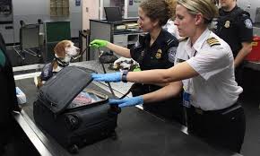 Per i voli in partenza dal sudafrica gli animali possono viaggiare in cabina, con un peso massimo consentito di 7 kg compreso il trasportino, in caso di peso superiore il trasporto avverrà tramite il servizio cargo. Come Viaggiare Con Cane E Gatto In Aereo La Guida Definitiva