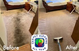 Bug guys pest control is a company that offers pest control services all through the indio area. About Us Downey Ca All Year Carpet Cleaning 562 658 9841
