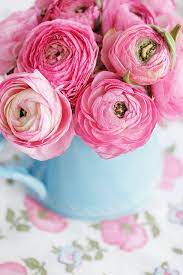 Pin On Color Pink