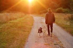 Maybe you would like to learn more about one of these? Four Steps To Take After Experiencing Pet Loss Psychology Today