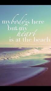 Petersburg, fl — as people prepare to celebrate over christmas weekend and coronavirus cases and hospitalizations show no sign of slowing down in the. News And Events Tampa St Pete And Treasure Island Beaches Beach Quotes Beach Beach Signs