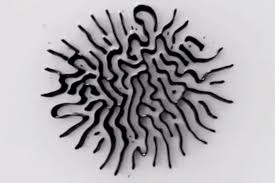 Ferrofluid Moving Magnetic Sculptures Ferrofluid Art Ferrofluid Sculptures