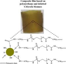 Be the first to recommend! Development Of A Novel Composite Film Based On Polyurethane And Defatted Chlorella Biomass Physical And Functional Characterization Journal Of Applied Polymer Science X Mol