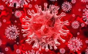 Nowy szczep koronawirusa jest podobny do wirusa wywołującego sars (zespół ostrej niewydolności oddechowej), ale różni się też od niego, zwłaszcza tym, że szybko powoduje niewydolność nerek. Niepokojace Odkrycie Naukowcow Nowy Szczep Koronawirusa Znacznie Bardziej Zakazny Aktualnosci Zdrowie Choroby Leczenie Poradnik Zdrowie I Uroda Profilaktyka Dziennik Pl Dziennik Pl