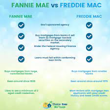 Fannie Mae Vs Freddie Mac – What You Should Know | Choice Home Mortgage |  Elite Capital Solutions