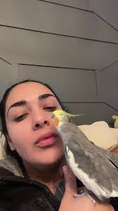 Marcela Llamas's Instagram, Twitter & Facebook