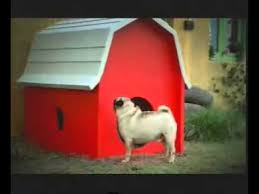Hutch To Vodafone Dog House Video Id 3c1f9c9a7d Veblr Mobile Dogs png images for free download hutch to vodafone dog house video