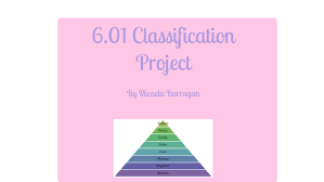 6 01 Classification Project By Mica Bgan On Prezi