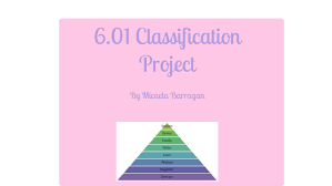 6 01 classification project by mica bgan on prezi