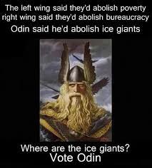Vote Odin 2020 Memes