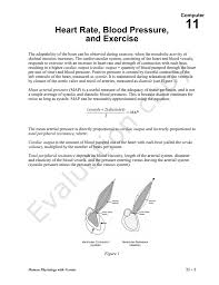 Heart Rate Blood Pressure And Exercise