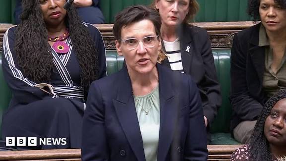 Gender policy 'damage' must be assessed, says Welsh Labour MP - BBC News