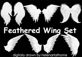 With two wings they covered their faces, with two they covered their feet, and with two they were flying. Wings Free Brushes 270 Free Downloads