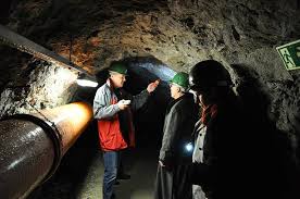 Barbara rov - Wikiwand