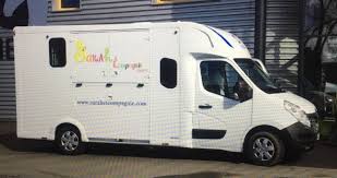 A Vendre Theault Proteo Renault 2018 23000 Km Camion A Vendre Camion Chevaux Renault