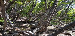 Mirra chubarova onlyfans Mirra Chubarova OnlyFans profile,