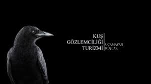 Kus Gozlemciligi Turizmi Odev Kapagi Kus Gozlemciligi Land Art Poster