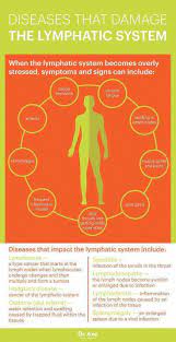 How to drain lymph nodes in neck. How To Drain Lymph Nodes Naturally Arxiusarquitectura