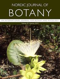 Image result for Pavetta sp. F