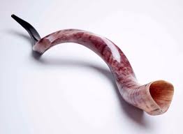 Best Quality Kudu Horn Shofar New Kosher Full Polished 40 42 Fast Shipping Shofar Judaica Gifts Horns