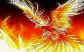 Iphone 8 wallpaper phoenix with resolution 1080x1920 pixel. 40 Phoenix Hd Wallpapers Background Images