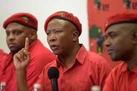 Ruling party grapples with democratic alliance challenge and eff seeks to make inroads. Watch Eff Leader Julius Malema Holds A Press Briefing The Citizen