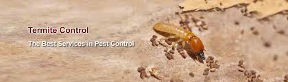 All of our pest control they offer affordable services with their certified and experienced professionals as according to the. Pest Control Services In Chennai Pest Control 24x7