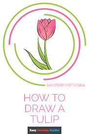 Tulip flower drawing step by step. How To Draw A Tulip Really Easy Drawing Tutorial