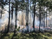Fire in Florida