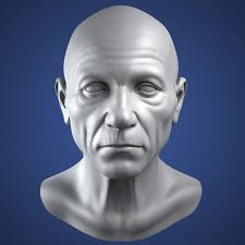 Realistic Old Man Head 3d Model 3d Model By Bitmapworld 3d Model Character 3d Model Buddha Statue