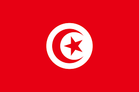 File Flag Of Tunisia Svg Tunisia Flag Tunisian Flag Flags Of The World
