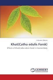 Image result for Catha edulis