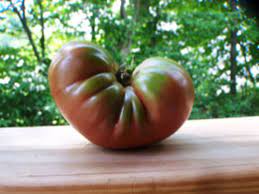 They're good raw, but really come into their own as a variety to use cooked. Oxheart Tomatoes Are Perfect For Slicing Stuffing Or Sauce Horticulture