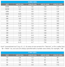 Explicit St Croix Horseshoe Size Chart 2019