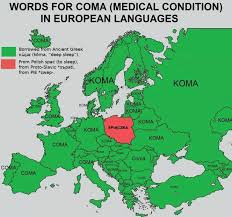 Coma In European Languages Polish Memes Language Jokes Words