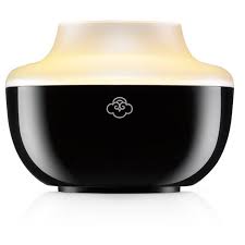 Sneaky Spiders Halloween Wax Melts | Scentsationals