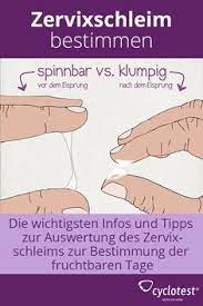 32 Fruchtbar Ideen Kinder Wunsche Kinderwunsch Tipps Schnell Schwanger Werden