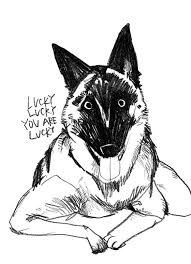 Kathy Lam Design Crush Dog Illustration Cute Animal Drawings Dog Drawing