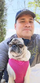 He is pretty chonky!