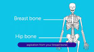 Whether your treatment is working. What To Expect When You Have A Bone Marrow Test Cancer Research Uk Youtube