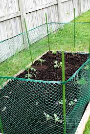 Lighter Spring Risotto Iowa Girl Eats Recipe Diy Garden Fence Diy Raised Garden Plastic Garden Fencing