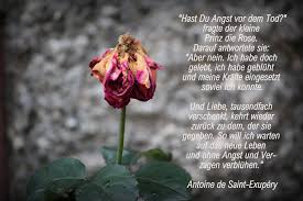 Zitate der kleine prinz keyword research. Ipanema Passend Zum Herbst Das Zitat Soll Angeblich Facebook