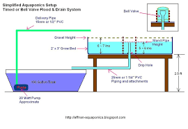 Affnan S Aquaponics Setting Up A Simple Aquaponics System
