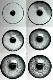 Black And White Pencil Sketch How To Draw An Eye Easy Drawings Step By Step Diy Tutorial Black And White Ske In 2020 Iris Drawing Eye Drawing Tutorials Eye Drawing