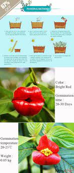 Pin On Landscape Gardening Ideas