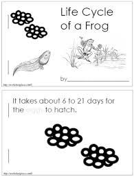 These frog life cycle worksheets are ideal for year 3 to 6 classes. 13 Frog Life Cycle Resources And Printables Teach Junkie
