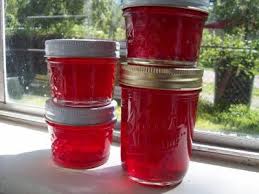 Camels do have leathery lips and are capable of consuming plant parts ants finally, as well as mice eat cactus seeds. Pecan Corner How To Make Prickly Pear Cactus Jelly Part 3 Pear Jelly Recipes Prickly Pear Recipes Prickly Pear Cactus