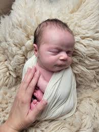 Baldwin photographer for engagement sessions